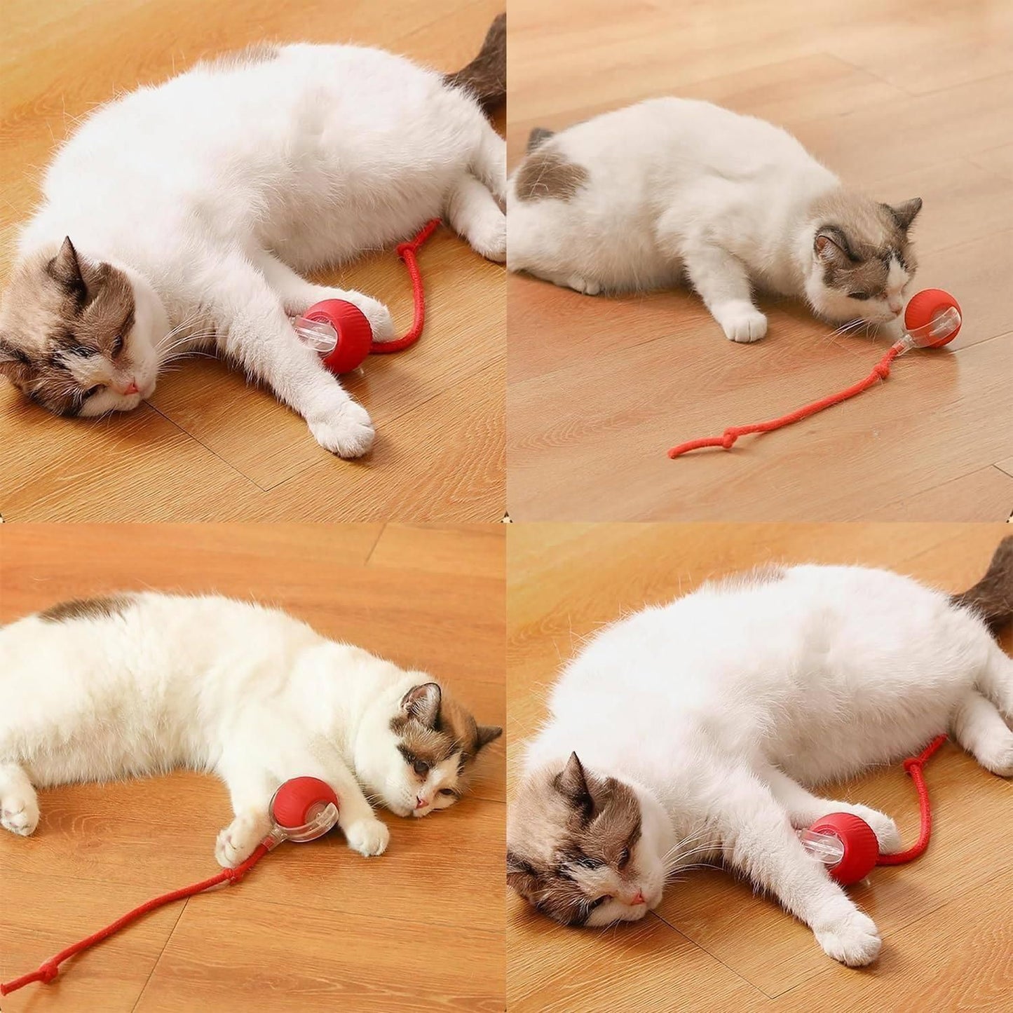 Rolling Cat Ball Toy