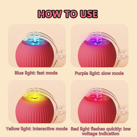 Rolling Cat Ball Toy