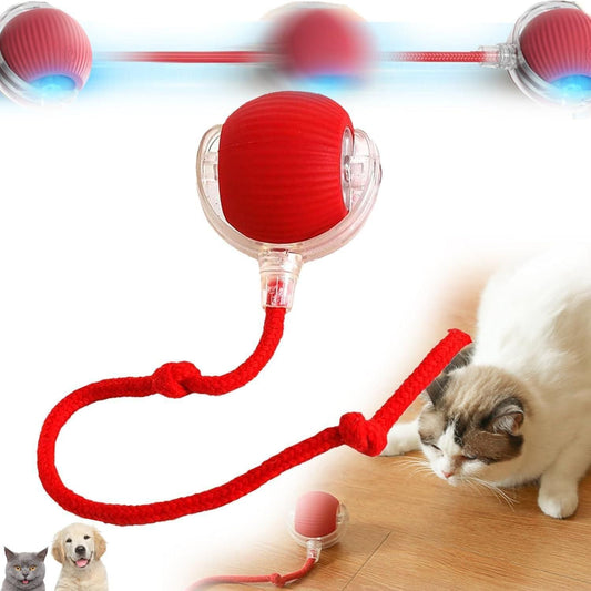 Rolling Cat Ball Toy